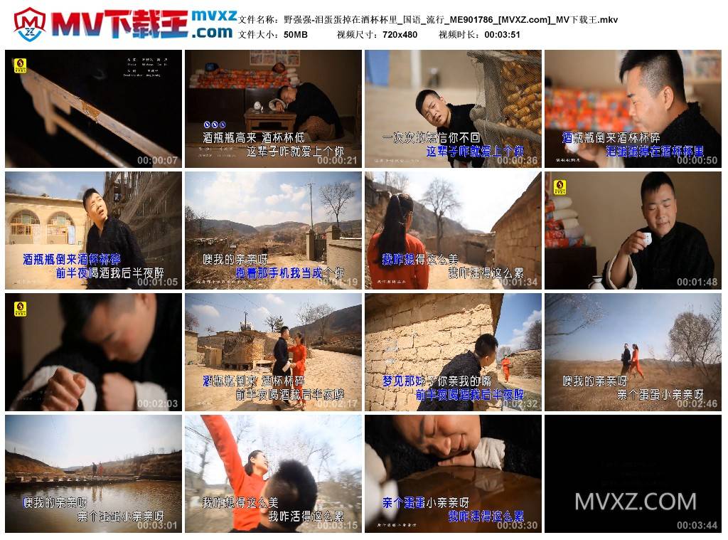 野强强-泪蛋蛋掉在酒杯杯里_国语_流行_ME901786
